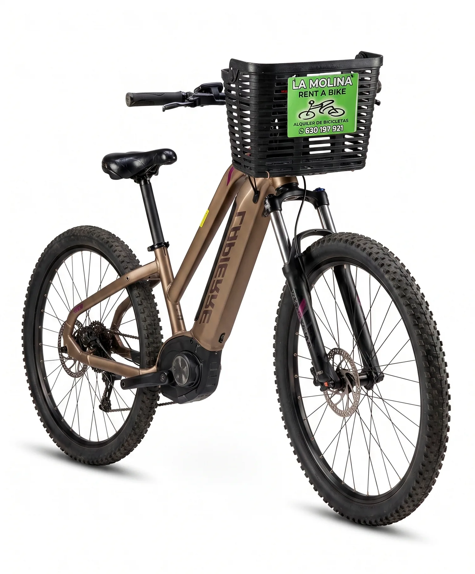 Bicicleta de paseo